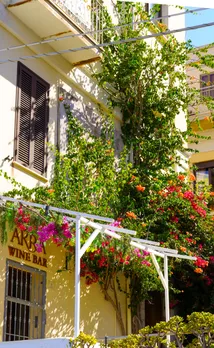 DSC08783.jpg