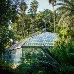 Botanischer_Garten_Palermo
