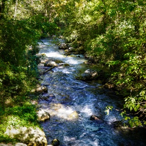 Parco_Nazionale_del_Pollino-Orsomarso