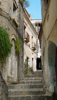 DSC08004.jpg