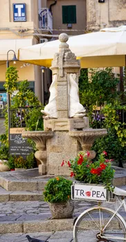 DSC09011.jpg