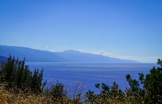 DSC08794.jpg