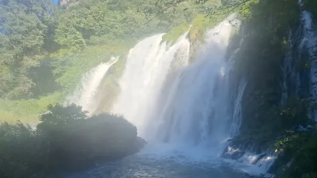 20250629_174903.mp4