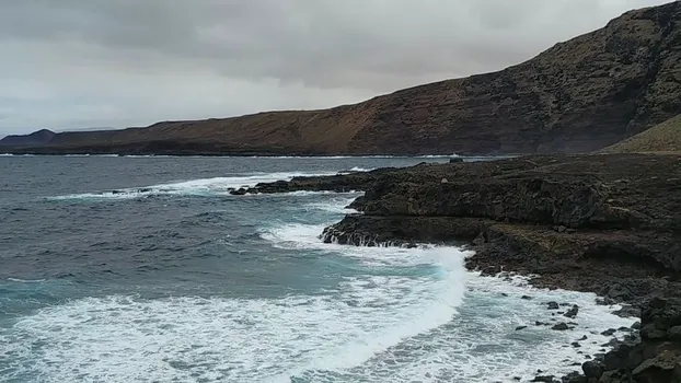 20190130_115534_33055419808.mp4