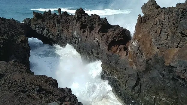 20190202_113825_32016921197.mp4