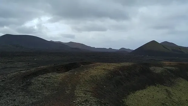 20190202_140136_46047799295.mp4