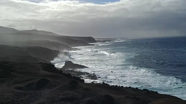 20190202_155705_33086239698.mp4