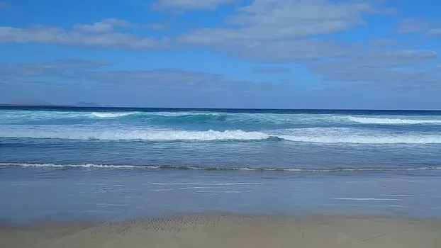 20190207_152815_46973011792.mp4