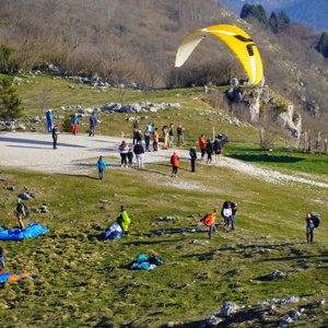 Meduno_April_2026