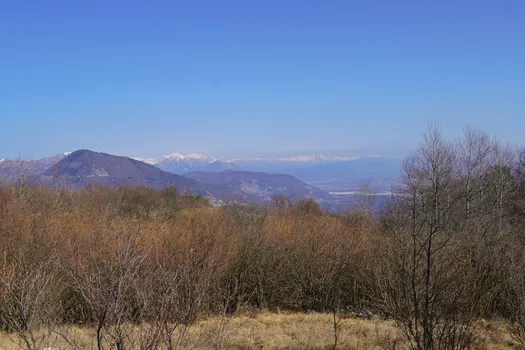 DSC03886.JPG