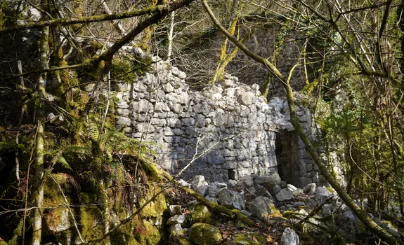 DSC04243.JPG