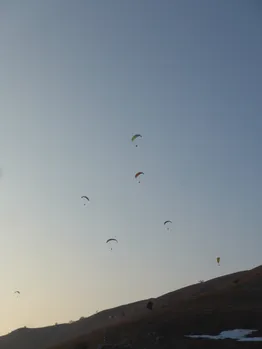 P1030941.jpg
