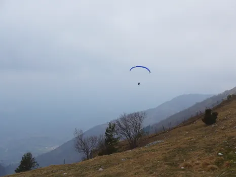 P1040044.jpg