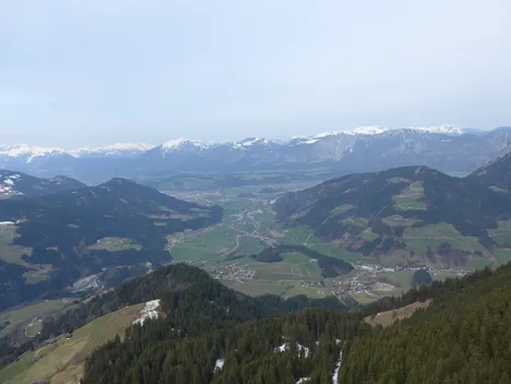 P1040075.jpg