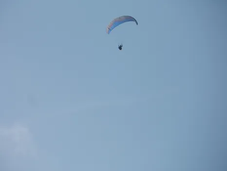 SAM_6305.jpg