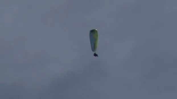 t4-f1_48586904321.mp4