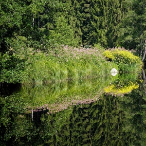 Schrottenbaummühle_Juli_2024