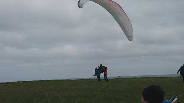 32887757647_a05e2707a4_vm.mp4