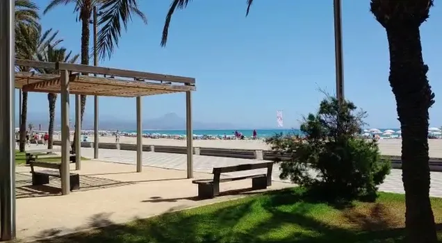 VID-20210716-WA0012.mp4