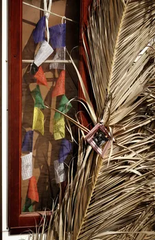 DSC05636-01.jpeg