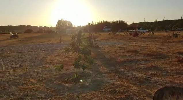 VID-20210820-WA0014.mp4