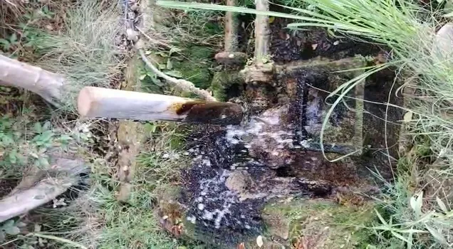 VID-20210729-WA0023.mp4