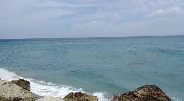 VID-20210731-WA0016.mp4