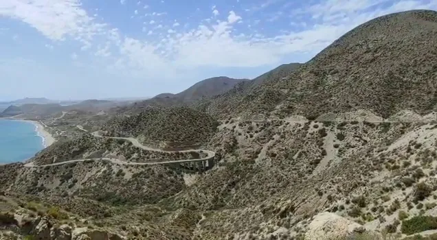 VID-20210731-WA0017.mp4