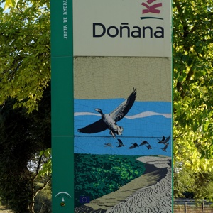 Parque_Nacional_Donana