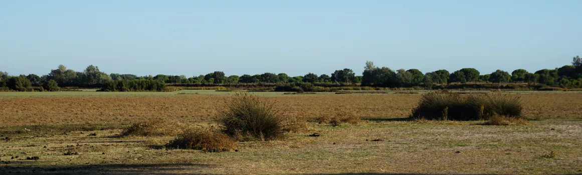 DSC04129-01.jpeg