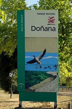 DSC04136-01.jpeg