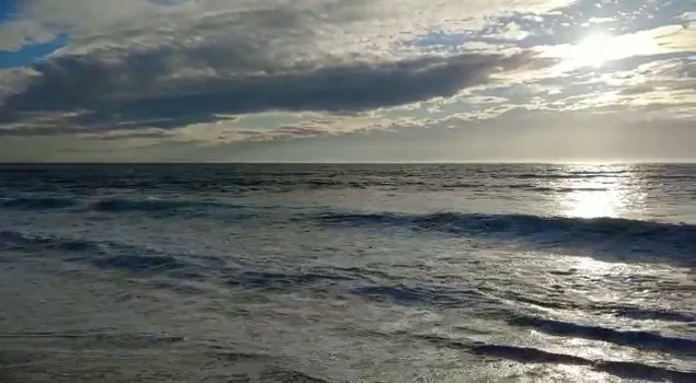 VID-20210906-WA0039.mp4