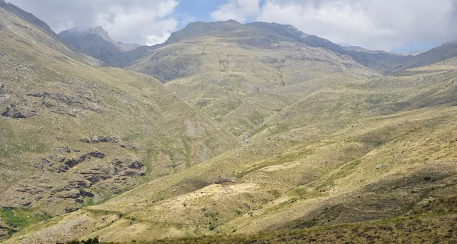 DSC01729-01.jpeg