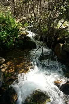 DSC02038-01.jpeg