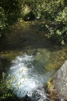 DSC02134-01.jpeg