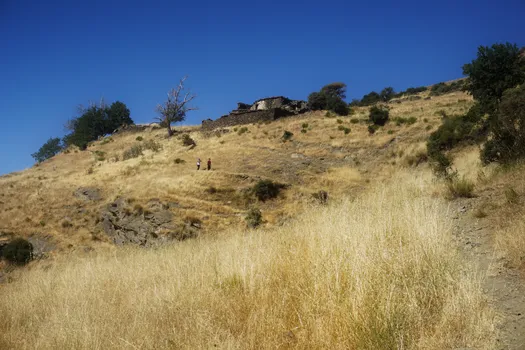 DSC02158-01.jpeg