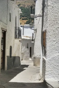 DSC02278-01.jpeg