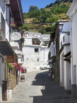 DSC02291-01.jpeg