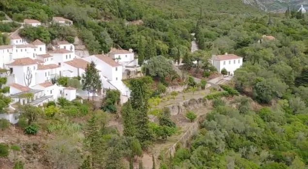 VID-20210912-WA0002.mp4