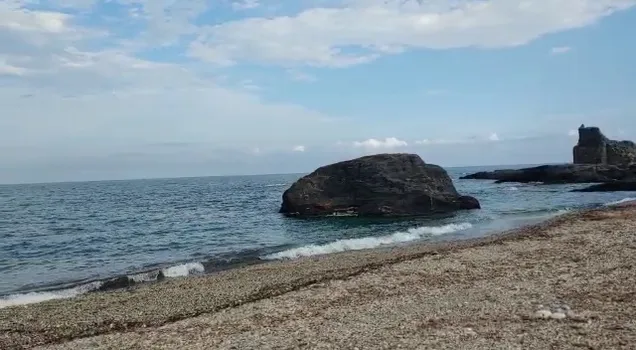 VID-20210727-WA0017.mp4