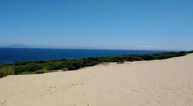 VID-20210808-WA0005.mp4